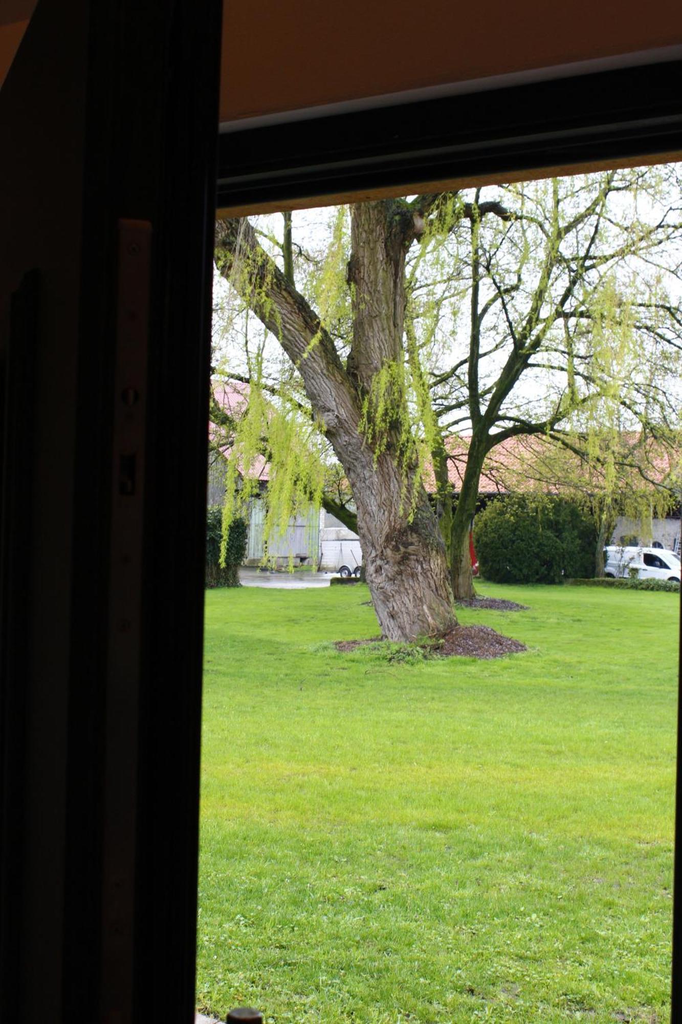 Weitblick - Ruhepol In Muensterlaender Parklandschaft Apartment Duelmen Exterior photo